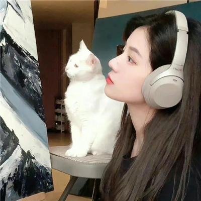 朱门情仇